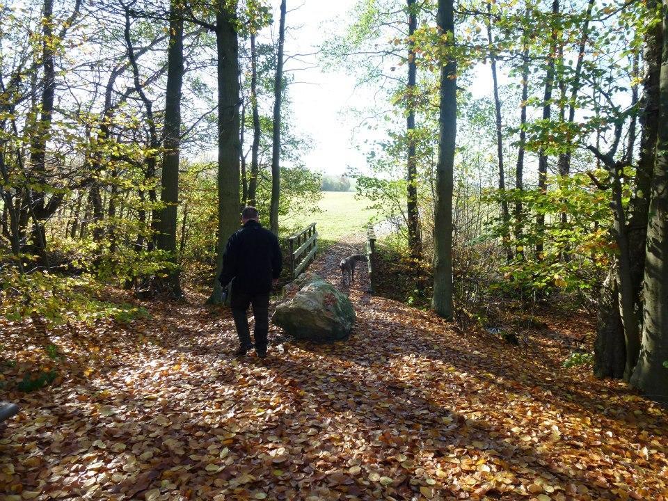 Zur Dorfschanke Hausen  Zewnętrze zdjęcie