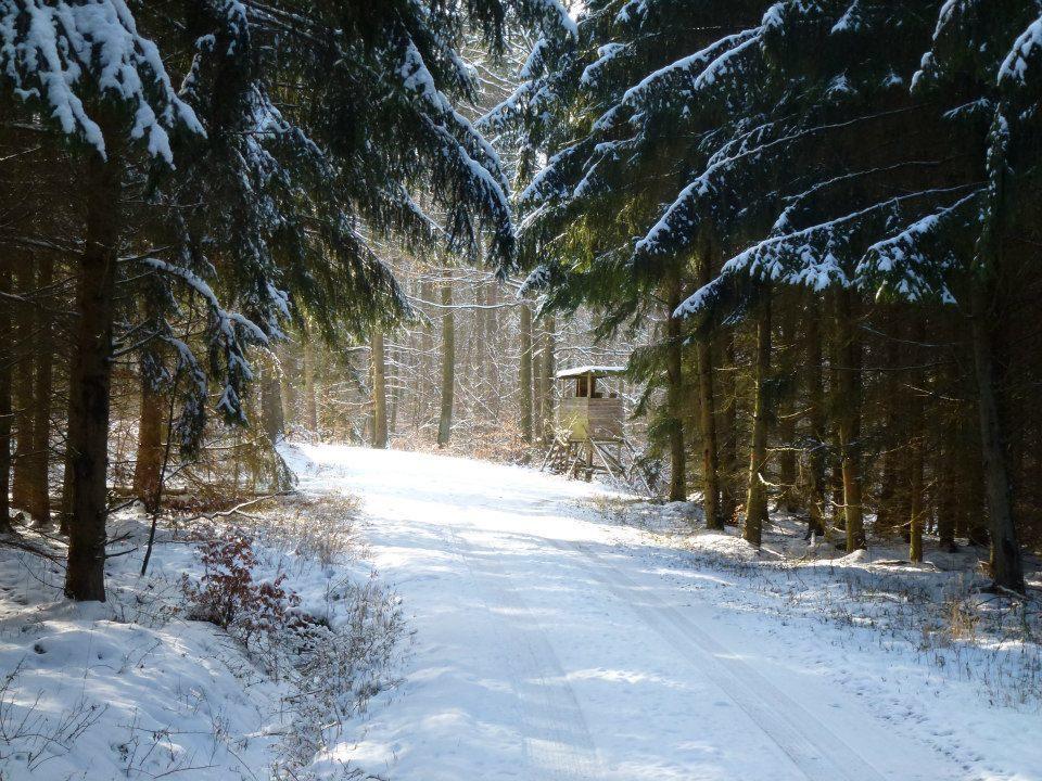 Zur Dorfschanke Hausen  Zewnętrze zdjęcie